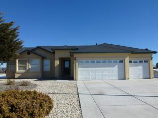 1606 Lou Ct, Hazen, NV 89408-6608