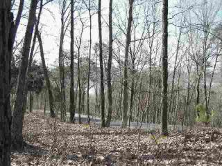 142 Chelaque Way, Mooresburg, TN 37811-2600