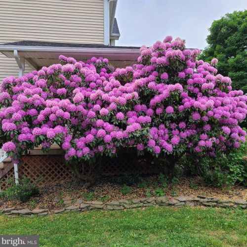 1139 Wilson Ave, Glen Mills PA  19342-9610 exterior