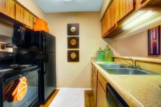 1110 El Camino Village Dr, Houston TX  77058-3070 exterior