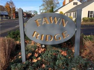 59 Fawn Ridge Ln, Wilton, CT 06897-4436