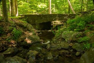 60 Rippling Brook Way, Bernardsville, NJ 07924-2036