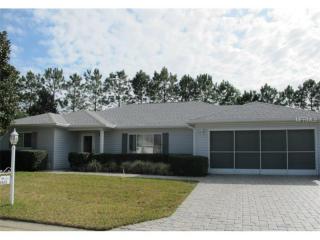8503 137th Loop, Summerfield, FL 34491-7955