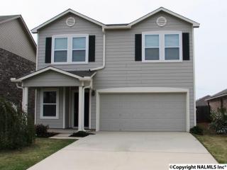 118 David Barnes Dr, Madison, AL 35756-2523