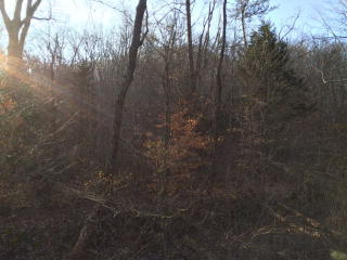 1808 Red Lick Rd, Berea, KY 40403-9652