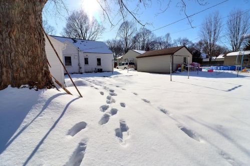 1240 Marian Ln, Green Bay WI  54304-2338 exterior