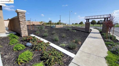 4316 Mccormack Rd, Rio Vista, CA 94571