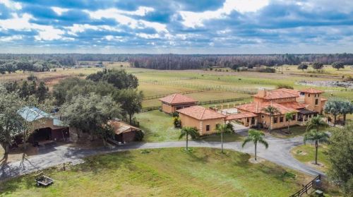 17341 Morris Bridge Rd, Thonotosassa FL  33592-2264 exterior