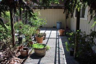 709 Thornhill Rd, Danville CA  94526-3636 exterior