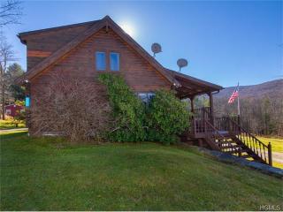 5597 Red Hill Rd, Claryville, NY 12725-5011