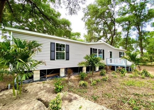 10006 Tom Folsom Rd, Thonotosassa FL  33592-3422 exterior