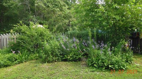 37 Town St, Norwich CT  06360-2323 exterior