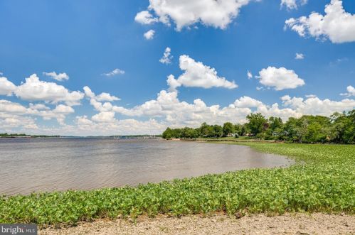 1120 Harbour Dr, Palmyra NJ  08065-1206 exterior