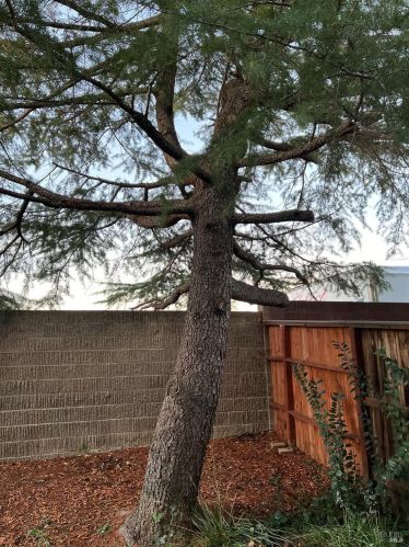 362 Tabor Ave, Fairfield CA 94533-8410 exterior