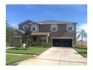 18712 Milton Keynes Ct, Land O Lakes FL  34638-2206 exterior