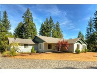 9915 Van Slyke Road Kp, Vaughn, WA