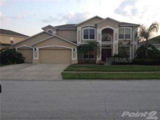 10072 Marsh Pine Cir, Orlando, FL 32832-5916