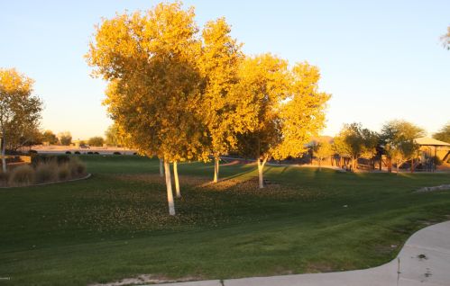 18764 Jameson Dr, Maricopa, AZ 85138-4555