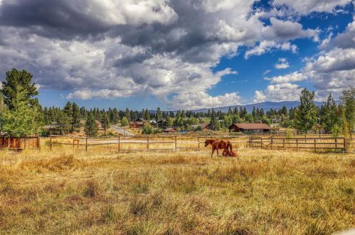 15102 Glenshire Dr, Truckee, CA 96161-1300
