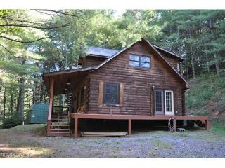 103 Knobby Ln, Burnsville, NC 28714-9411