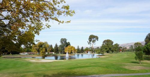 8366 Riesling Way, San Jose CA  95135-1404 exterior