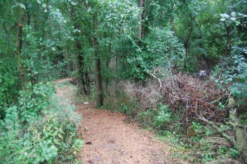 711 Harrison Ct, West Bend WI  53090-1800 exterior