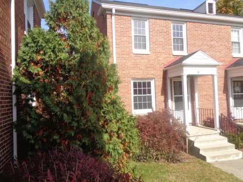 1521 Plum St, Springfield, OH 45504-1877