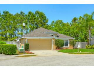 2801 Big Pine Dr, Tarpon Springs, FL 34691-8766