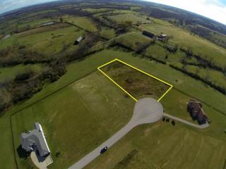 307 Terra Bianca Dr, Nicholasville, KY 40356-8032