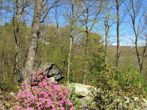 2157 Route 292, Whaley Lake, NY 12531-5559