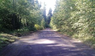 17600 236th Pl, Kent, WA 98042-4716