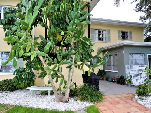 12175 3rd St, Saint Petersburg, FL 33706-4448