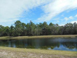 5349 Chandler Bend Dr, Jacksonville, FL 32224-0844