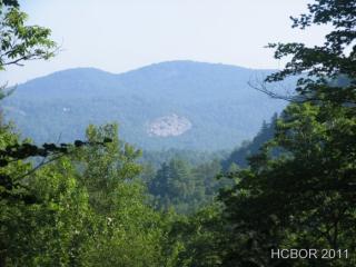 55 Rockytop Dr, Cashiers, NC 28717-6600