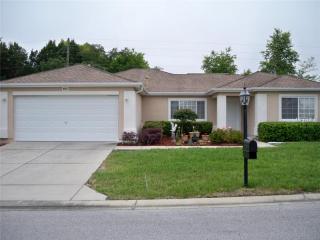 8951 141st Loop, Summerfield, FL 34491-9767