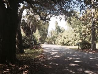1005 Resca De La Palma St, Pascagoula MS  39567-1230 exterior