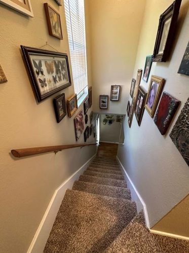 363 Fantail Loop, Austin TX 78734-4870 exterior