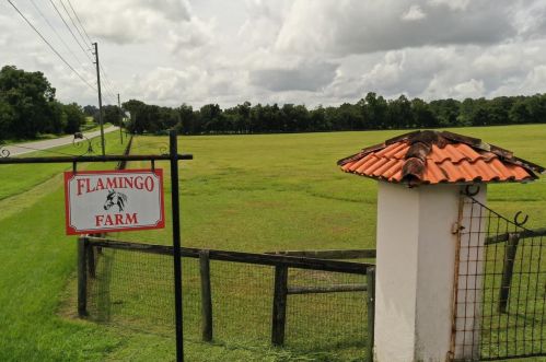 13702 Gainesville Rd, Flemington, FL 32686-3980