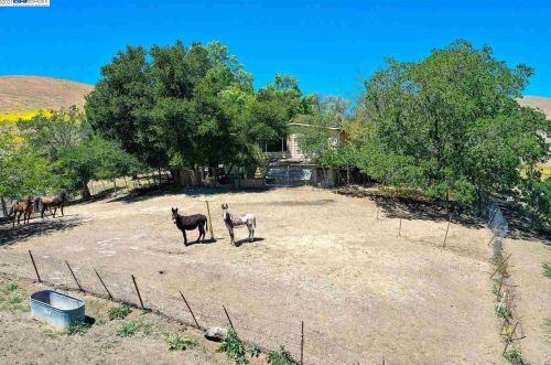 6901 Johnston Rd, Pleasanton CA  94588-9460 exterior