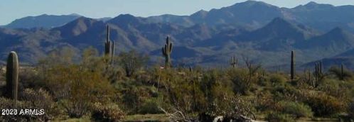 31220 156th St, Scottsdale AZ  85262-6934 exterior