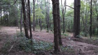 394 Edgewater Ave, Dayton, TN 37321-7233