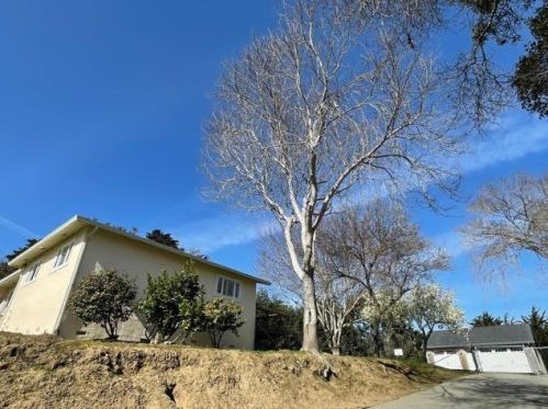300 Alta Vista Dr, South San Francisco, CA 94080-5639