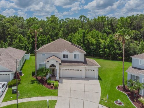 4546 Roslyn Ct, Land O Lakes, FL 34639-5686