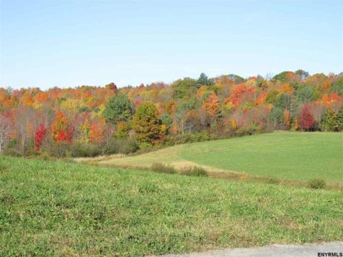 222 Delevan Rd, Braman Corners, NY 12053-4600