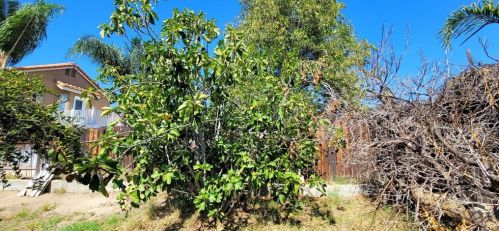 166 Nebraska St, Lake Elsinore CA  92530-1861 exterior