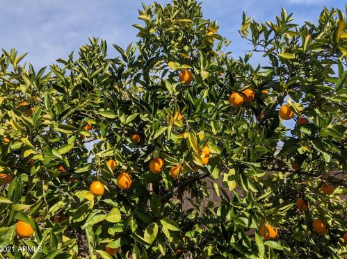 38301 15th Ave, Phoenix AZ 85041-4712 exterior