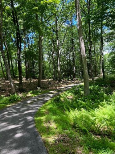 221 Benedict Rd, Montgomery, NY 12549-2301