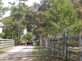 21335 County Road 44a, Eustis, FL 32736-7723