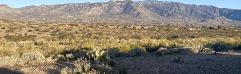 39735 Diamond Bay Dr, Tucson, AZ 85739-1369