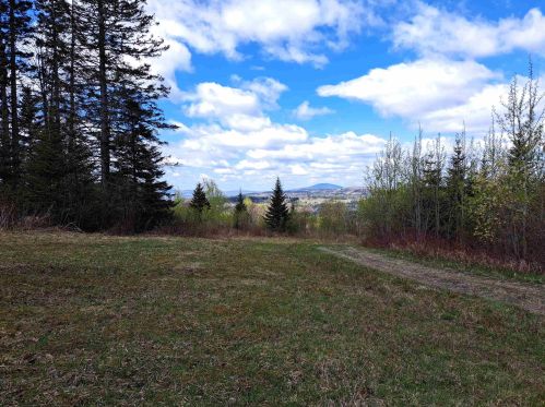 848 Diamond Pond Rd, Columbia NH  03576-5611 exterior